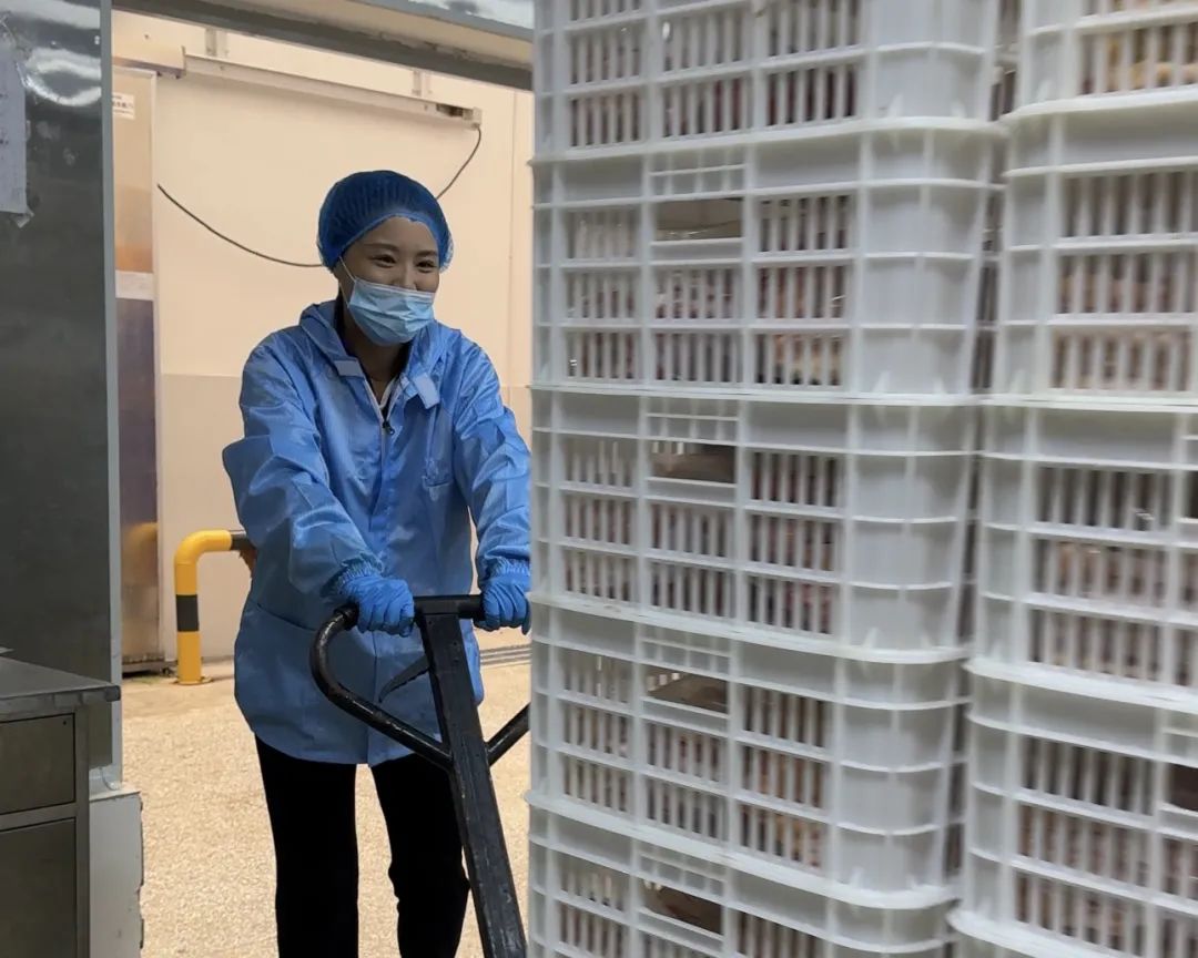 https://mmbiz.qpic.cn/sz_mmbiz_jpg/Ax0LVMvYCjJjSzldicuxDbYe8KY8mNojxTicXI0ewoTov39ic5HEh9xFPEcm4SibibYLPpsKxYIHNA0471I8kMjOrRw/640?wx_fmt=jpeg