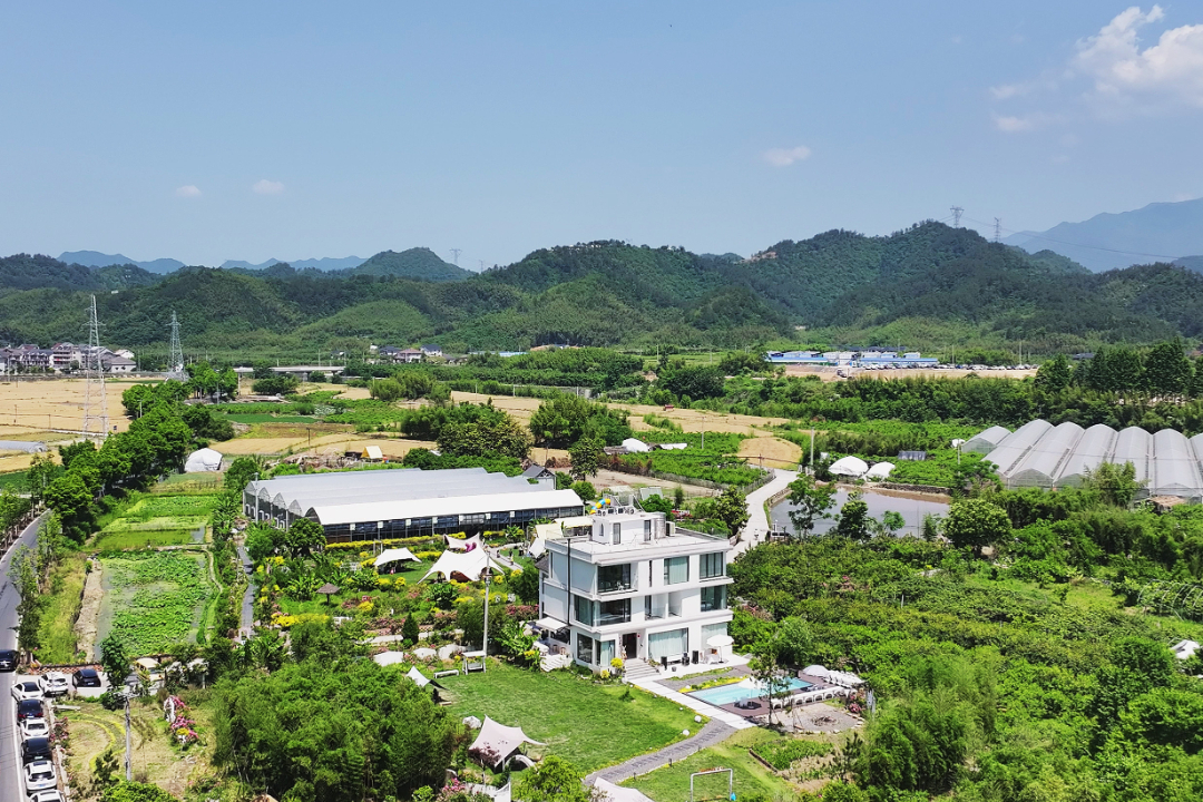 undefined 6 皮园俯瞰图3.jpg